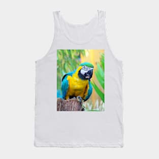 Macaw Bird Tank Top